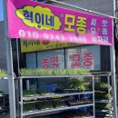 미연네 칼국수 이미지