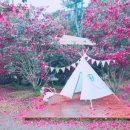 산풍목장 네이버블로그