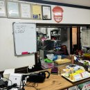 파도복어 이미지