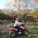 더블유 | 서울성인액티비티 청평 가볼만한곳 산악ATV 팀더블유 후기