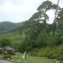 무릉도원면-14 이미지