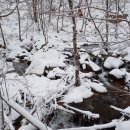 샘터목장 이미지