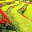 내고향가마솥 이미지