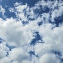 쎄려언니 이미지