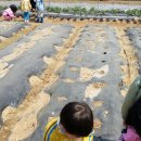 준영농장 이미지