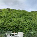 멍포레(mung foret) | 양산 내원사 신상카페 : 아미드포레
