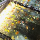 감정코칭심리상담사(2급) 이미지