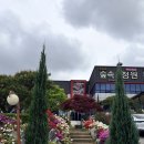 활초초등학교 | 화성 남양 맛집 입맛에 딱 맞던 숲속의정원 돼지갈비