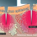 (주)아그네스 이미지