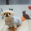 성내동물병원 이미지