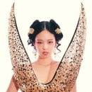 천마비디오