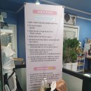 어서오시개 이미지