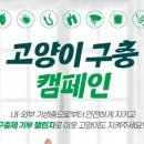 J.K 펫샵 이미지