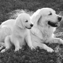 행신동물병원 이미지