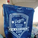 에이스시큐리티(주) | -[MLB관전후기] 샌디에고 파드레스 VS LA 다저스 @Dodger Stadium (4/30/2009)