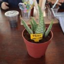 명곡동300 이미지