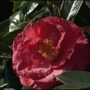 하늘을 날다 이미지