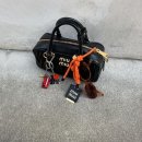MIUMIU 미우미우 아르카디백 1년 사용 후기