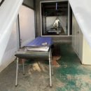 대부도햇살키즈풀빌라 | 🌸대부도 햇살키즈풀빌라 1박2일 솔직후기 — 벚꽃・실내수영장・키즈놀이터・갯벌체험까지 한 방에!