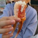 더달달강릉중앙 이미지