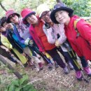 안심산 둘레길 이미지