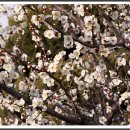 김해세무서 이미지