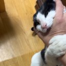 논현이이주내과의원 이미지