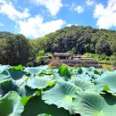 삼봉전자 이미지