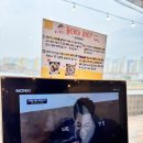 파티 | 분위기, 맛 모두 만족한 원주 맛집 올데이파티 후기