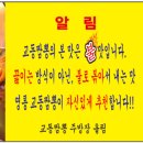 전국5대 직화 교동짬뽕 네이버블로그