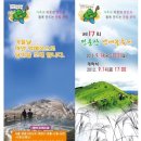정선통나무펜션 네이버블로그