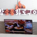 꼬미양 네이버블로그