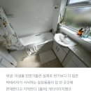 세균 가장 득실득실한 온상지는? 이미지