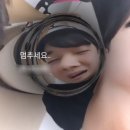 고어프피자 이미지