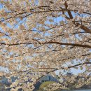 우리나현유치원 이미지