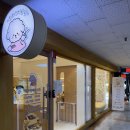 애견미용실 일호 | 그루밍사운드:) 수원애견미용, 수원조원동애견미용, 말티푸미용, 가위컷전문, 내돈내산 후기