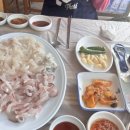 부�상회 | 민락회타운 맛집 추천 동해상회에서 밀치·광어 먹어본 솔직 후기