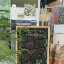 이루리환경 | 가는 날 ｜제주 동문 시장 소품샵 호끄만거 ｜제주 도시재생 이음 케왓 이용 후기 ｜퀸제누비아 자차 탑승