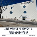 텃밭과 함께하는 생태체험놀이 | 시흥 아이랑 가볼만한 곳 해양생태과학관 전시 구성·체험·관람시간 총정리