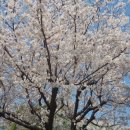 벽계가든 이미지