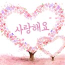 에이 플러스 이미지