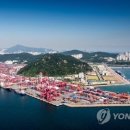 동부부산컨테이너터미널 이미지