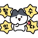 히트테니스 이미지