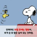토닥이 - 안산시 단원구 광덕대로 194 | 토닥이