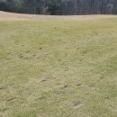 페럼클럽 | 여주 페럼클럽CC 봄라운딩 후기 Ⅰ 우주선 같은 클럽하우스 Ⅰ 첫인상은 감탄 플레이는 반성