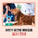 24시 인천동물병원 치료해주오 | 하반기 광견병 예방접종 실시 안내