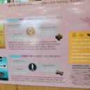 영블리 펫살롱 이미지