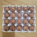 덕산농장 | [양계장 청년] 난각번호 1번 유정란 후기