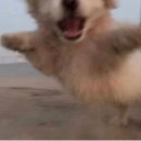 행복한식사 이미지