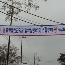 영순초등학교 학생수 증가 이미지